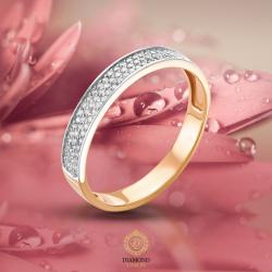 ������ ���������