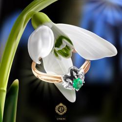 ������ ���������