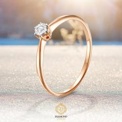 ������ ���������